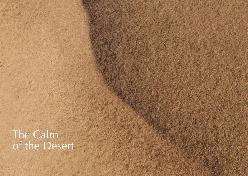 TheCalmOfDesert